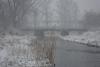 dsc03397_t1.jpg